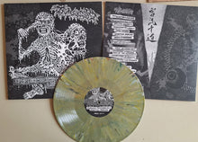 Load image into Gallery viewer, Trucido "Epiphanic Delusions of a Spiritual Warfare" LP - Regurgitated Semen Records (2026)