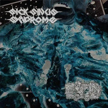 Load image into Gallery viewer, E.T.D./Sick Sinus Syndrome "Split" LP - F.O.A.D. Records (2026)