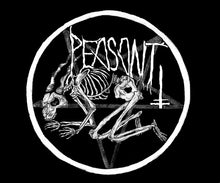 Load image into Gallery viewer, Peasant "Demo 2012" (USED) CASSETTE - Self Released (2012)